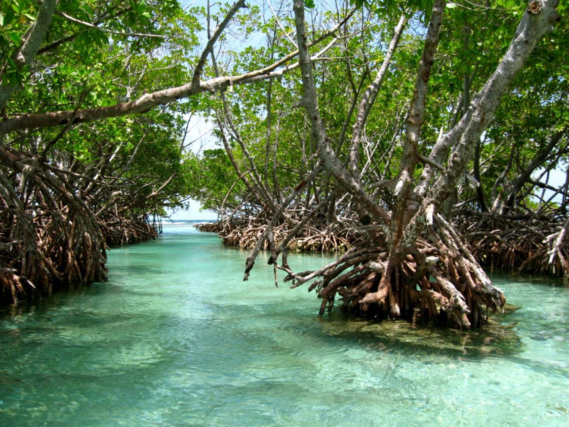 la-parguera-puerto-rico