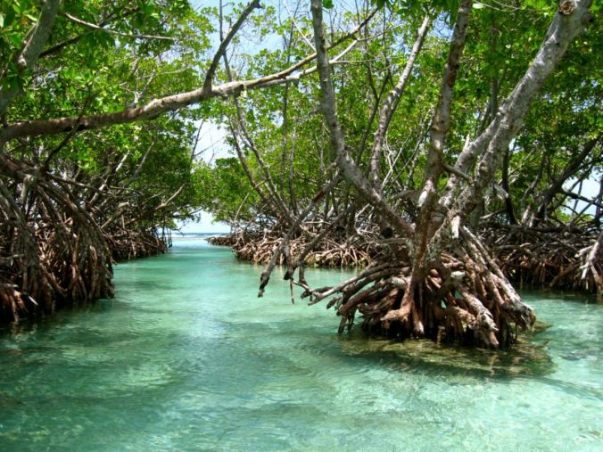 la-parguera-puerto-rico